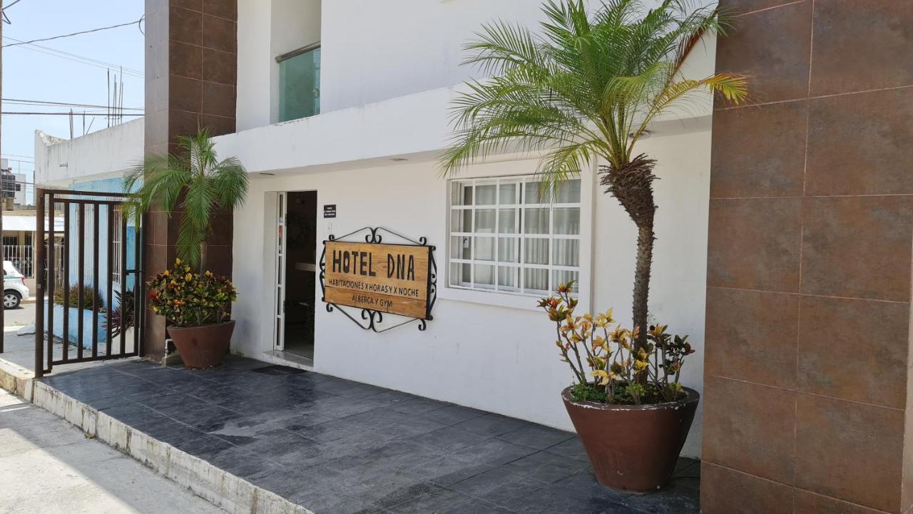 Dna Cancun Hotel Y Posada エクステリア 写真
